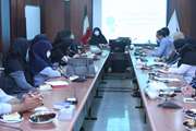 برگزاری جلسه توجیهی- آموزشی برنامه نیازسنجی و مداخلات ارتقای سلامت در شبکه بهداشت و درمان اسلامشهر